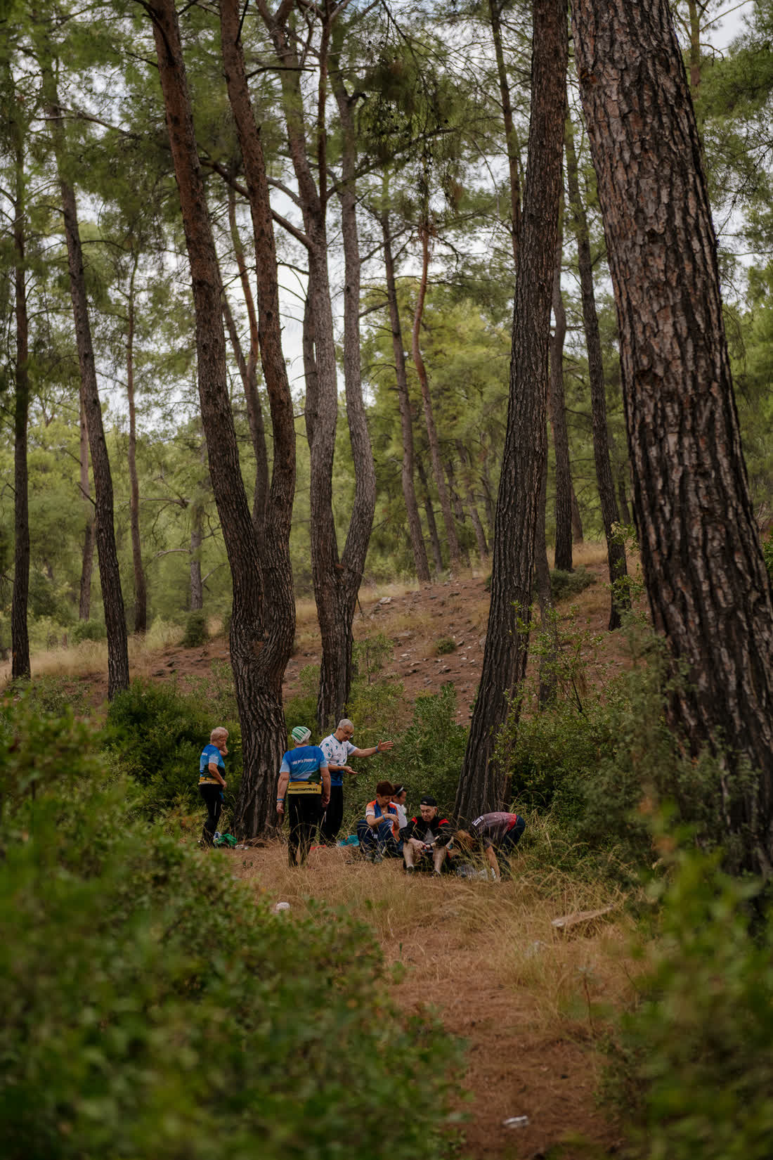 A path crossing a Mediterranean pine hillside with distant orienteers