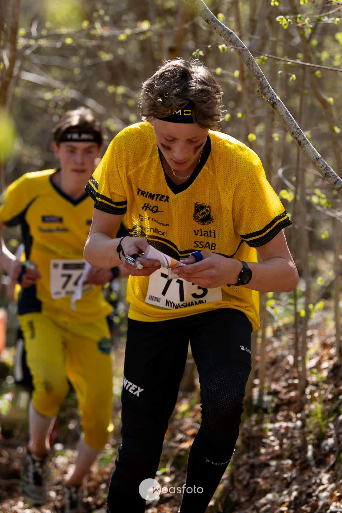 Two orienteers in yellow running through open birch forest at 10MILA